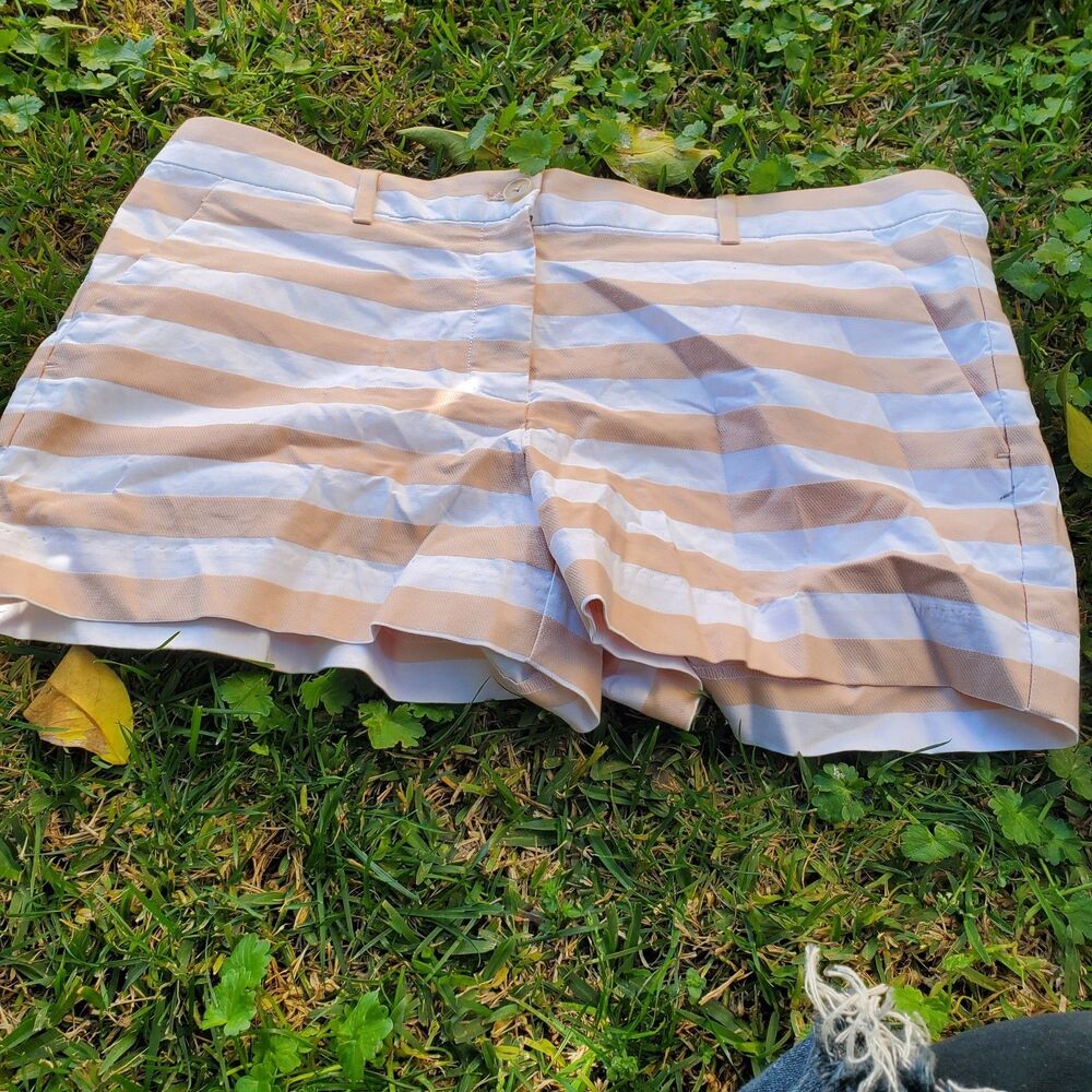 Gap Women Striped Stretch Shorts Size 12 Casual Summer NWT